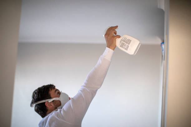 Best Preventive Mold Services in Man, WV